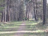 GielsBosloop 2015 - 053.jpg